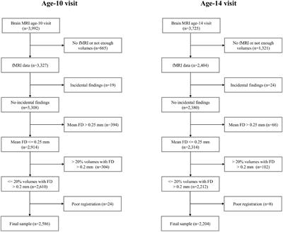 Developmental Changes in Dynamic Functional Connectivity From Childhood Into Adolescence